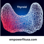 Middle-aged woman holding her neck with a thyroid anatomy overlay, symbolizing thyroid and metabolism connection.