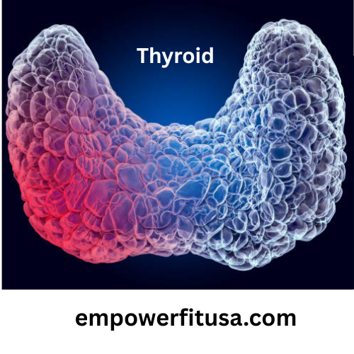 Middle-aged woman holding her neck with a thyroid anatomy overlay, symbolizing thyroid and metabolism connection.